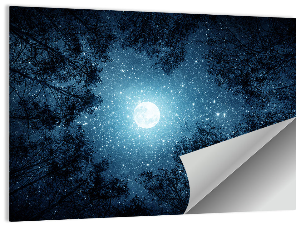 Full Moon Over Forest Wall Art