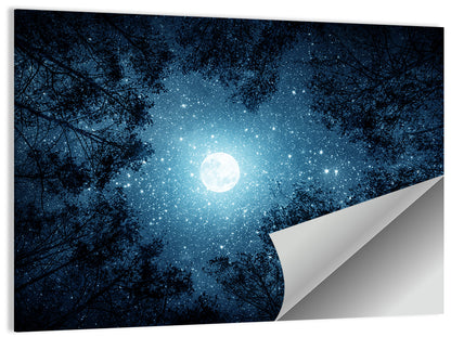 Full Moon Over Forest Wall Art
