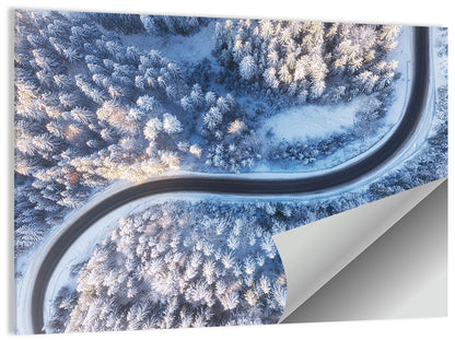 Winding Snow-covered Forest Road Wall Art