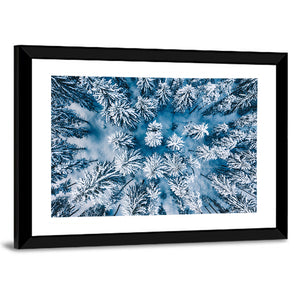 Aerial Snowy Forest Wall Art