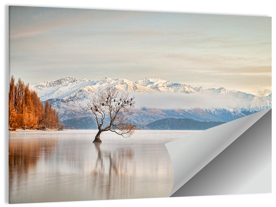 That Wanaka Tree, Lake Wanaka Wall Art