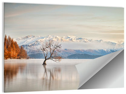 That Wanaka Tree, Lake Wanaka Wall Art