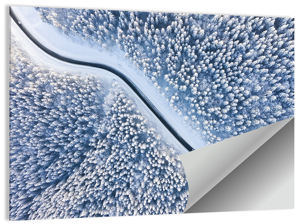 Winding Snowy Forest Road Wall Art