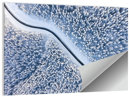 Winding Snowy Forest Road Wall Art