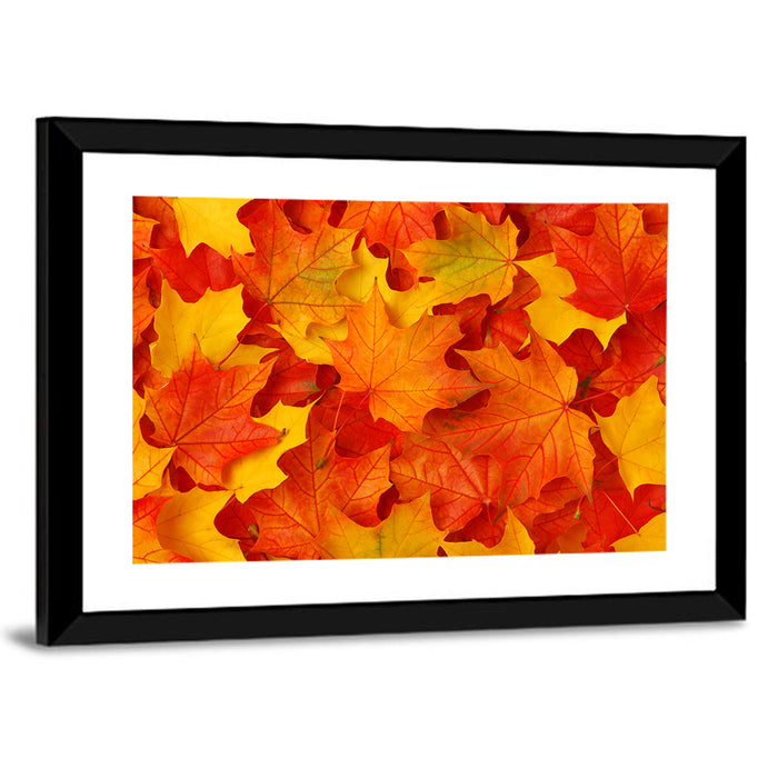 Autumn Maple Leaves Wall Art as a framed print