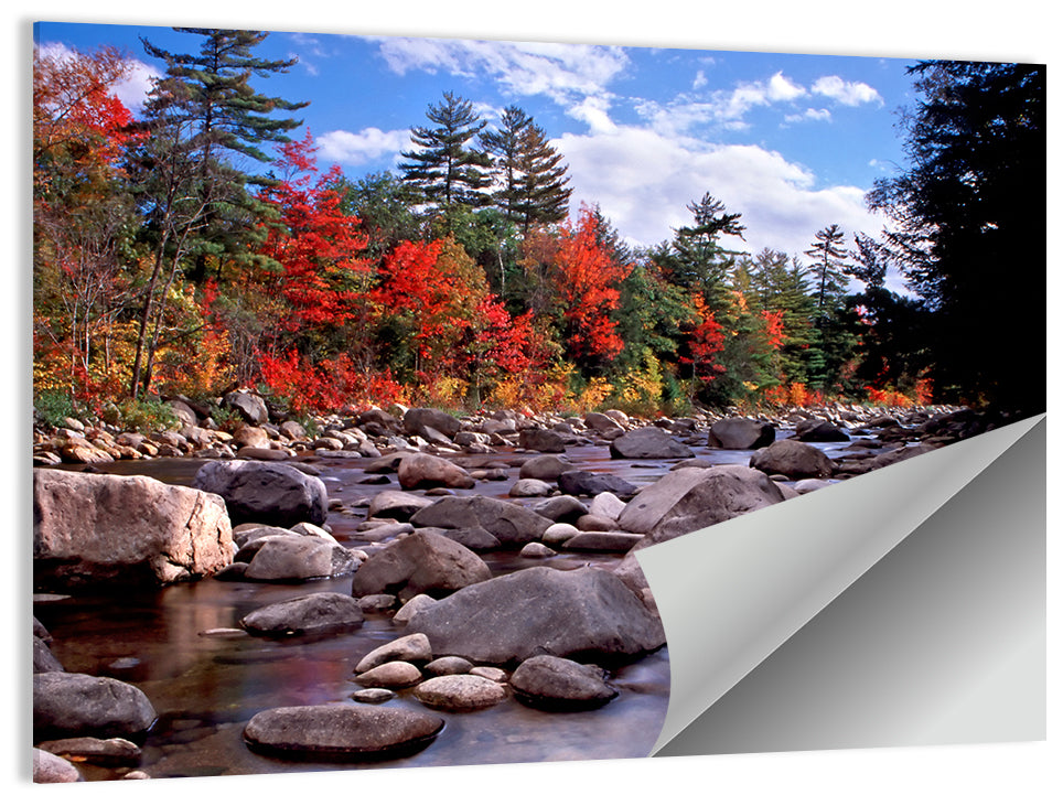 New Hampshire Autumn Stream Wall Art