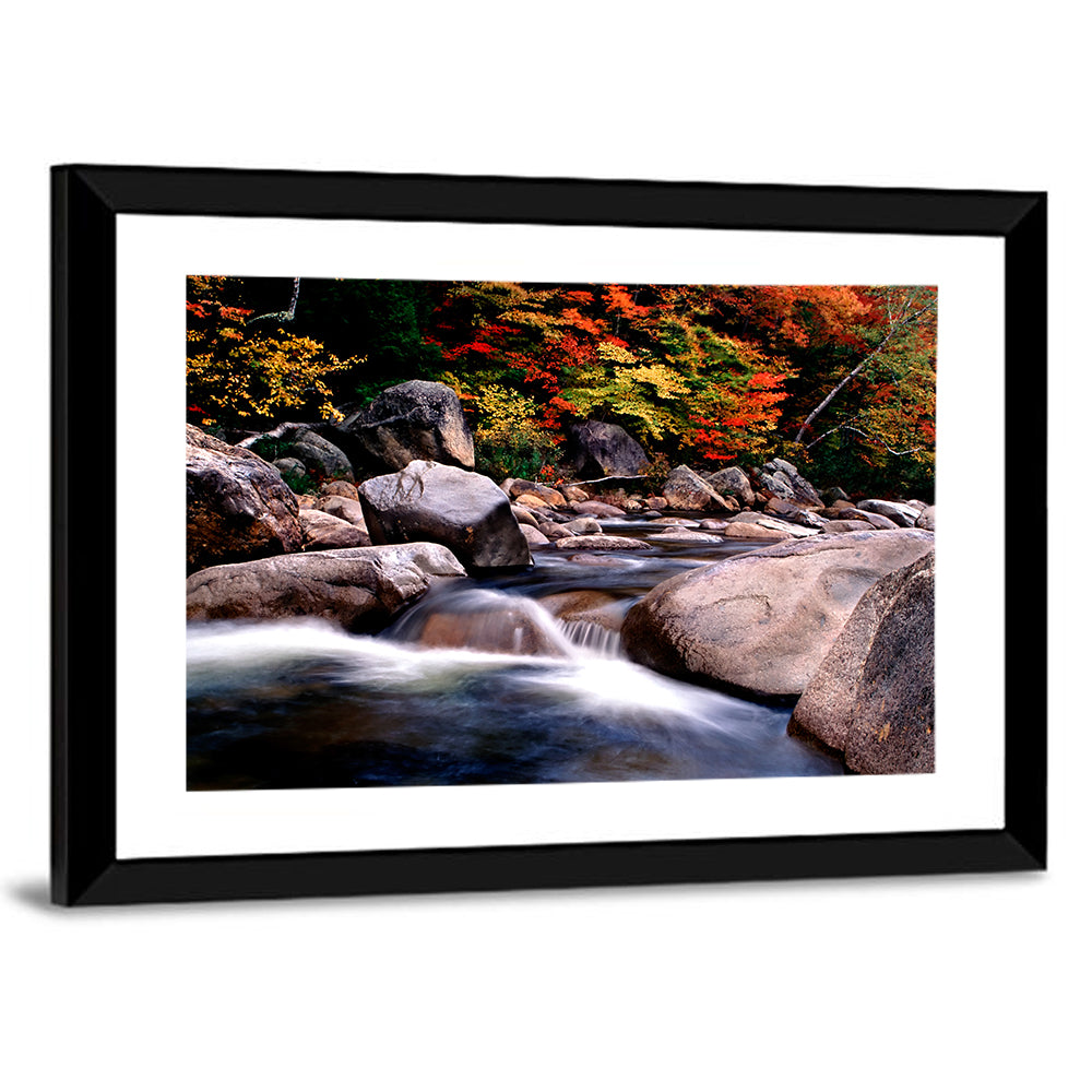 New Hampshire Autumn Stream Wall Art