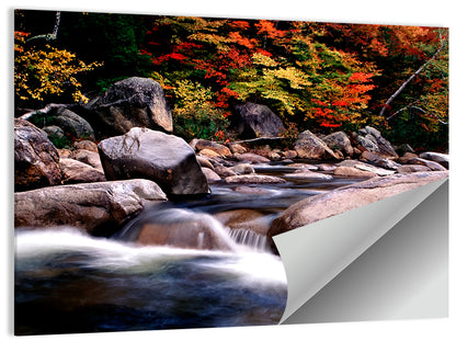 New Hampshire Autumn Stream Wall Art