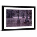 Caddo Lake Cypress Trees Wall Art
