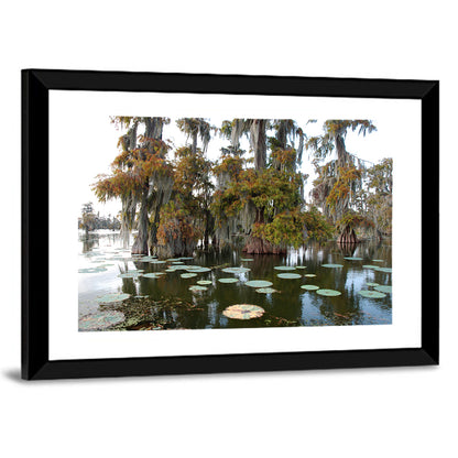 Lake Martin Cypress Swamp Wall Art