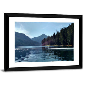 Tongass National Forest Wall Art