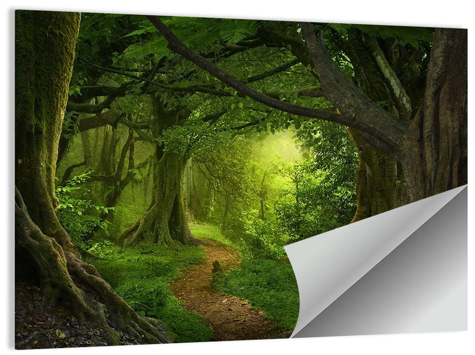 Tropical Forest Path Wall Art, poster print, landscape