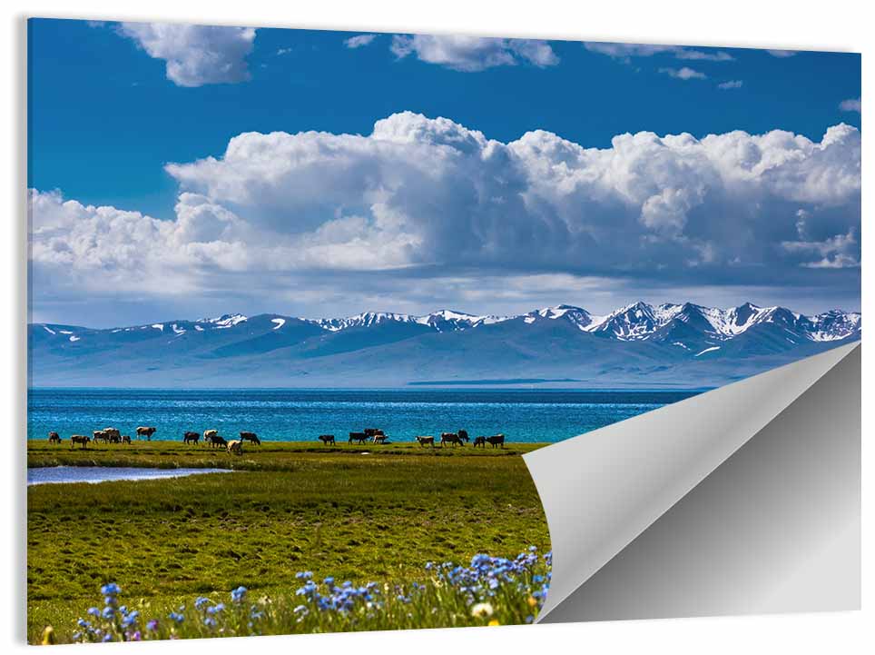 Song Kol Wildflower Shore Wall Art