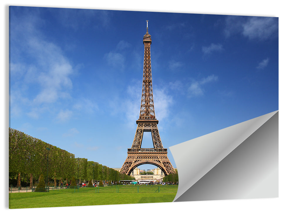 Eiffel Tower Park View Wall Art