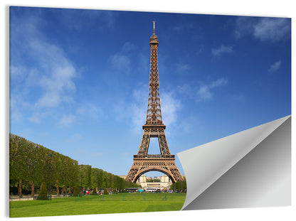 Eiffel Tower Park View Wall Art