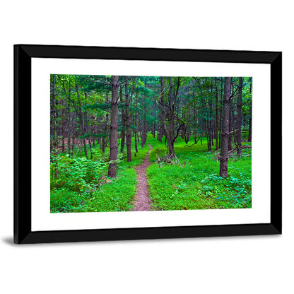 Lush Virginia Forest Trail Wall Art