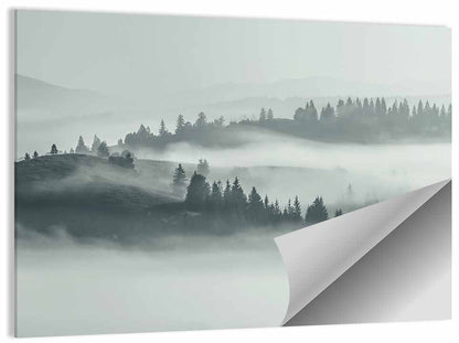 Carpathian Morning Mist Wall Art