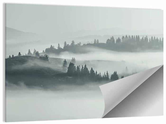 Carpathian Morning Mist Wall Art as a poster print