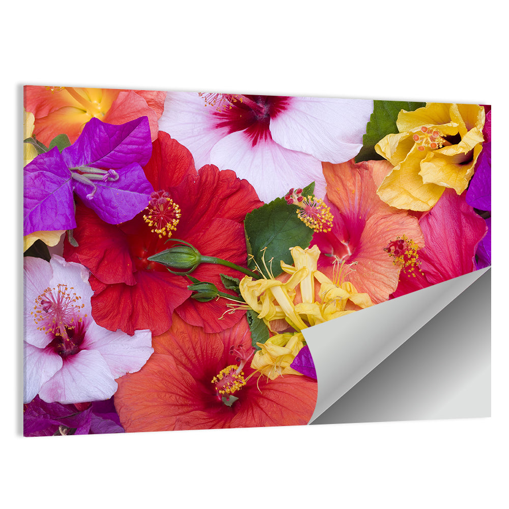 Tropical Bougainvillea and Hibiscus Bloom Wall Art
