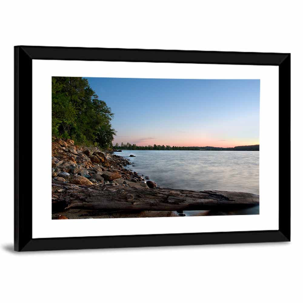Lake Hartwell Driftwood Shoreline Wall Art