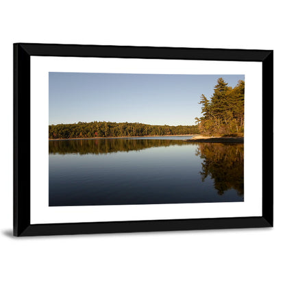 Walden Pond Reflection Wall Art