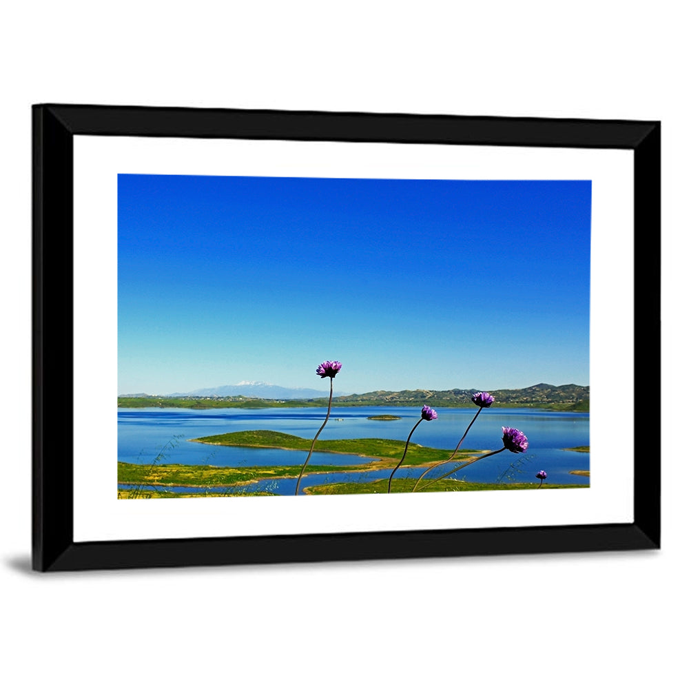 Lake Mathews Wildflower View Wall Art
