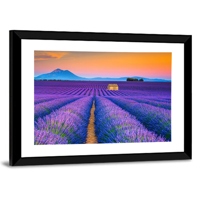 Valensole Lavender Fields at Sunset Wall Art as a framed print