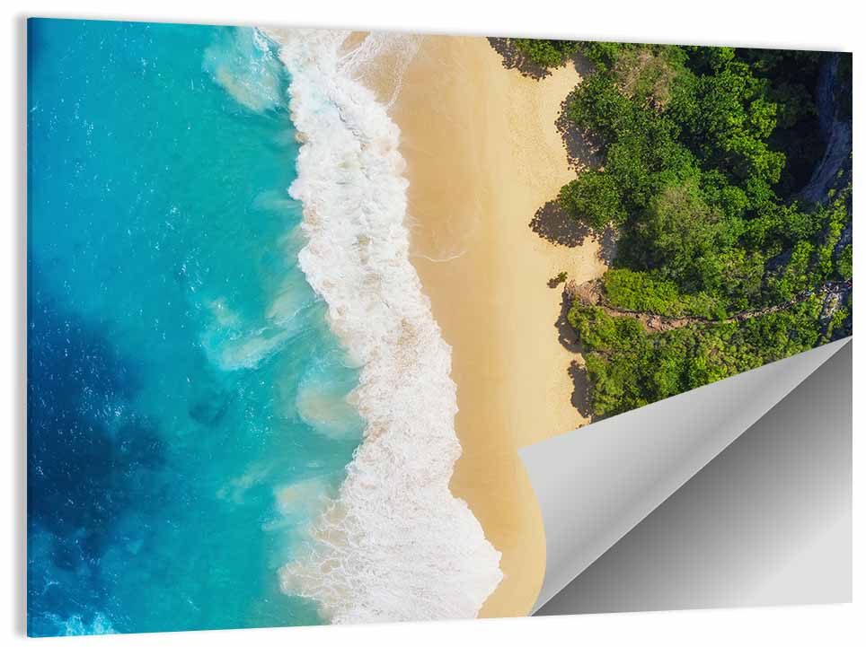 Aerial Sea Beach Wall Art