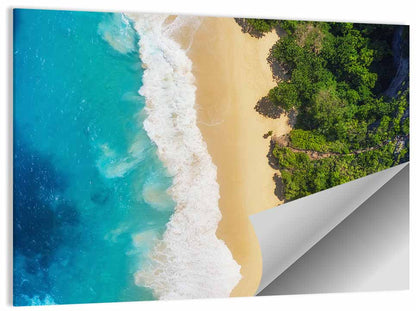 Aerial Sea Beach Wall Art