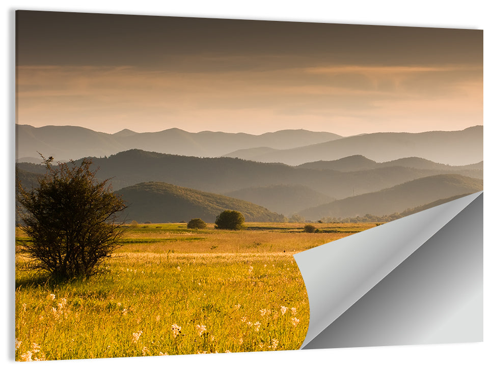 Golden Hour Countryside Hills Wall Art