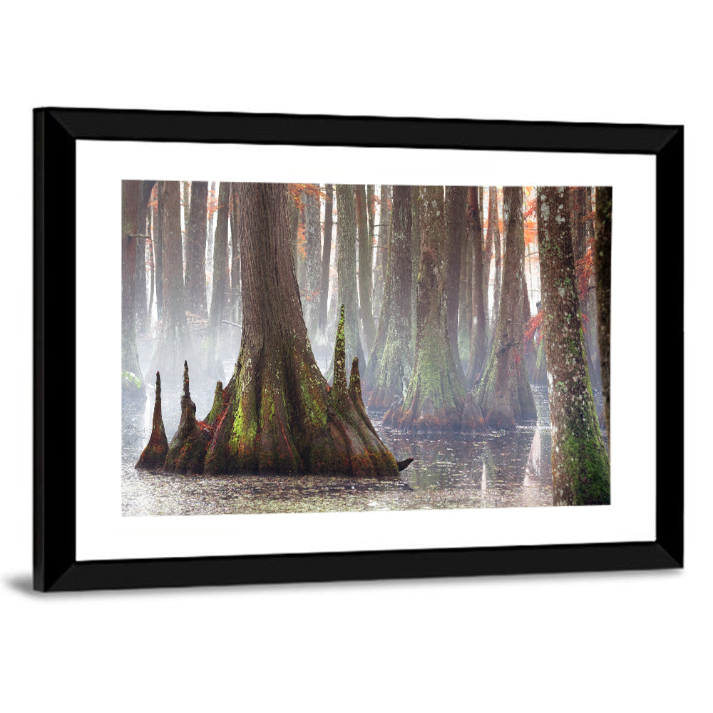 Chicot State Park Morning Fog Wall Art
