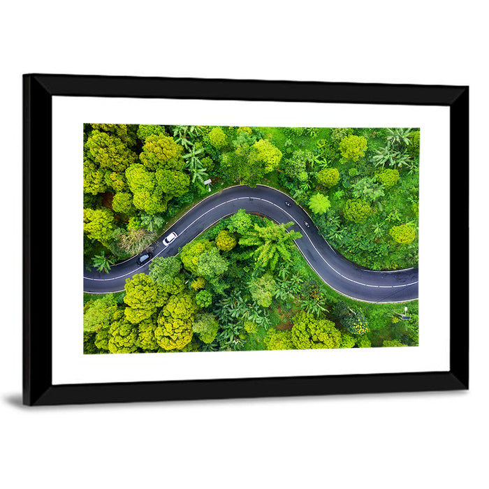 Winding Tropical Forest Road Wall Art as a framed print