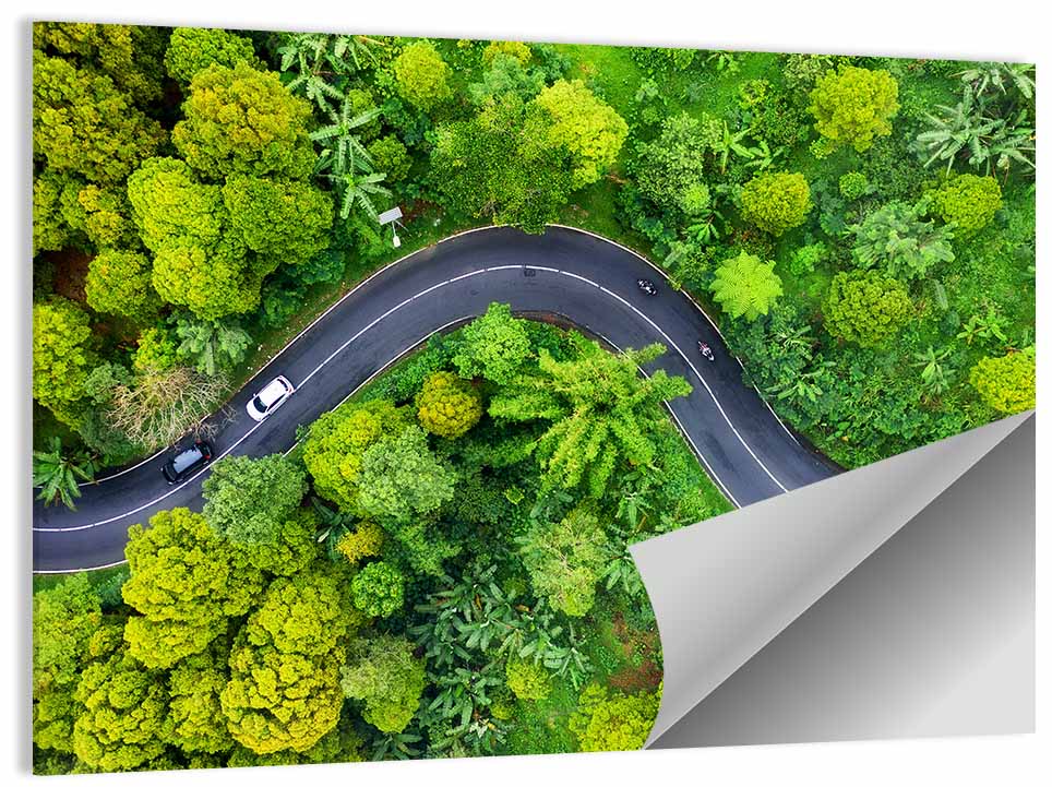 Winding Tropical Forest Road Wall Art