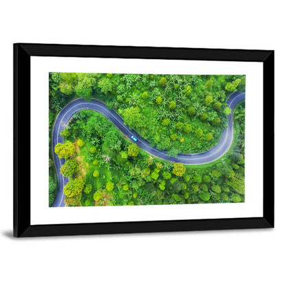 Blue Car on Summer Forest Road Wall Art