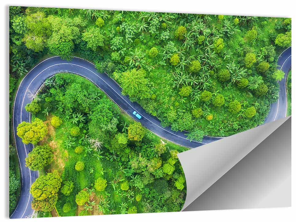 Blue Car on Summer Forest Road Wall Art