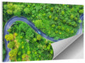 Blue Car on Summer Forest Road Wall Art