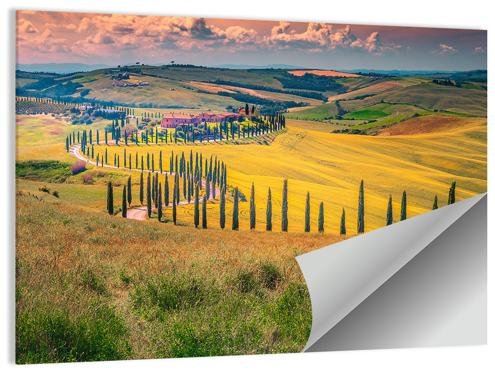Val D'orcia Cypress Road Wall Art
