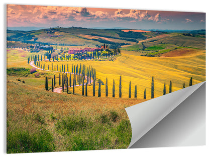 Val D'orcia Cypress Road Wall Art