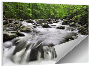 Great Smoky Mountains Stream Wall Art