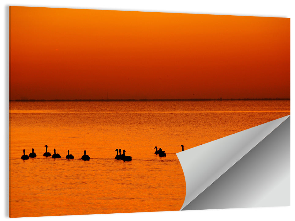 Geese Silhouettes at Orange Sunset Wall Art