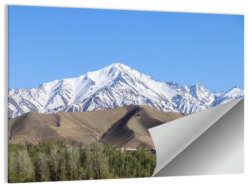 Afghan Snow-capped Peaks Above Forested Foothills Wall Art