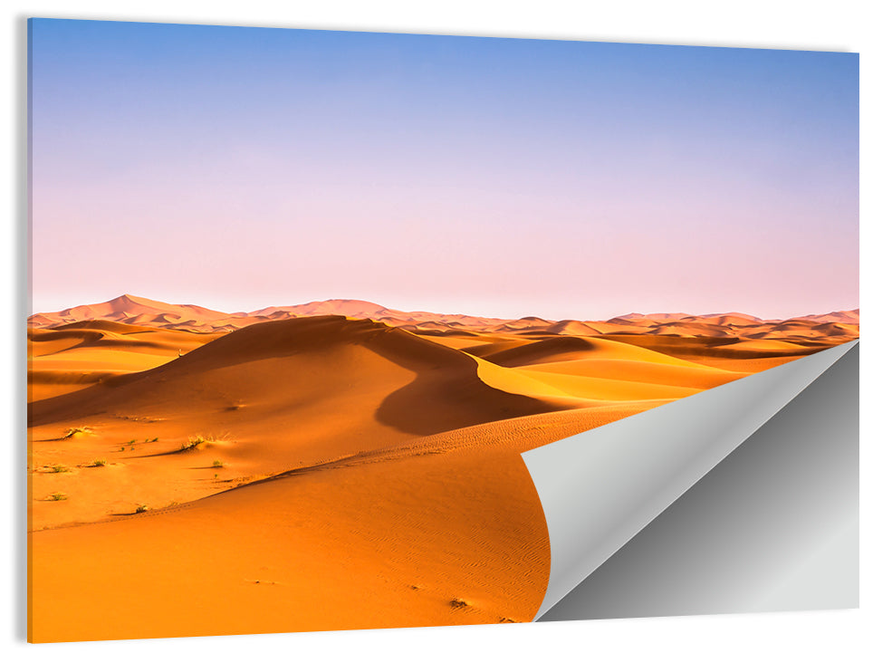 Golden Sahara Dunes Wall Art