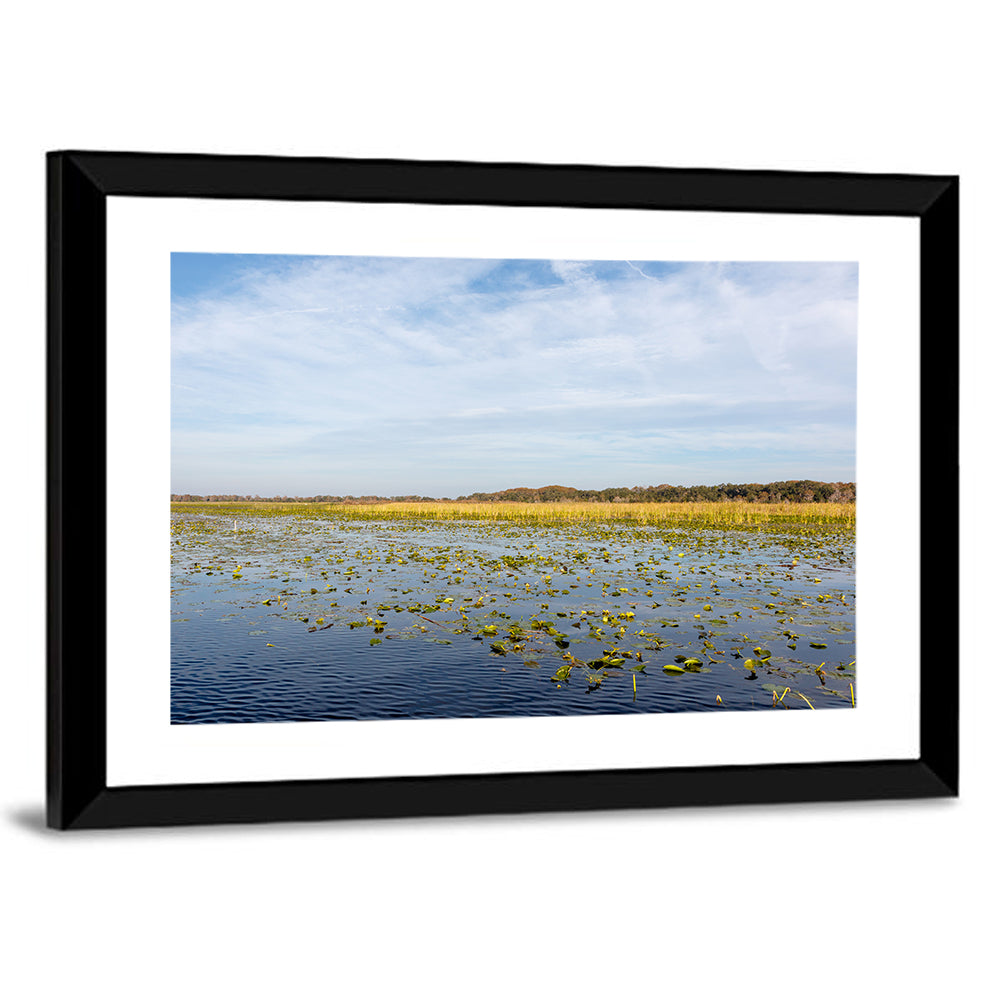 Lake Toho Lily Pads Wall Art