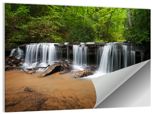 Forest Waterfall Wall Art