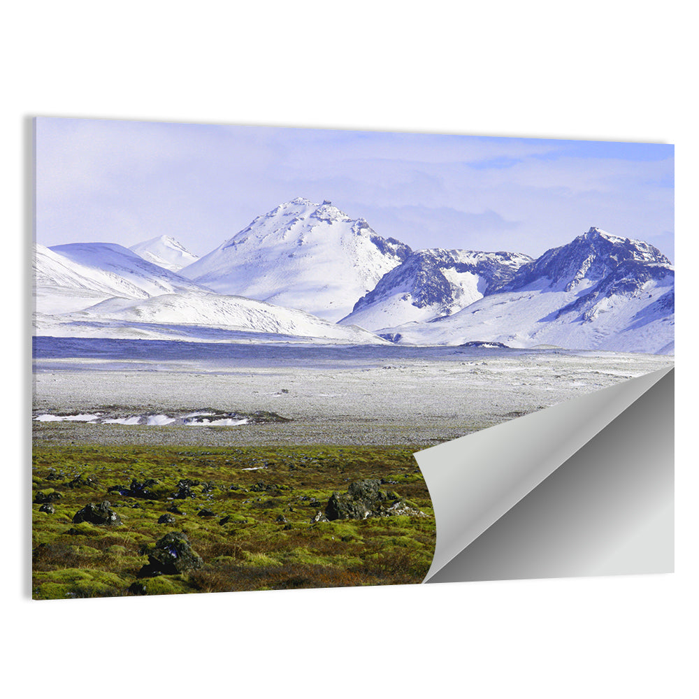Icelandic Snow and Moss Landscape Wall Art