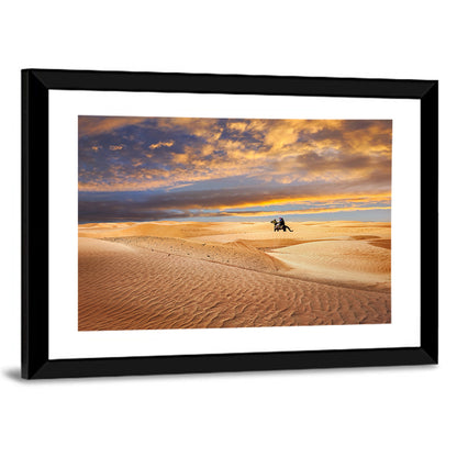 Sahara Camel Rider at Sunset Wall Art