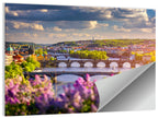 Prague Vltava Bridges in Spring Light Wall Art