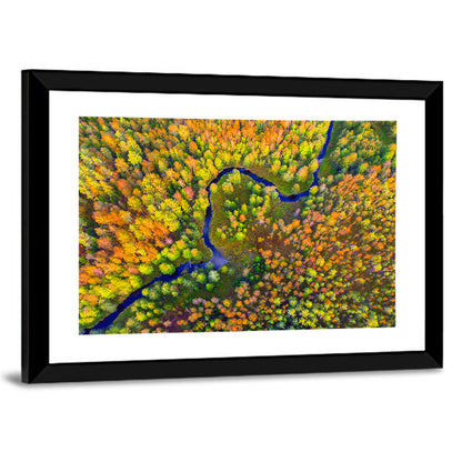 Autumn Forest River Wall Art