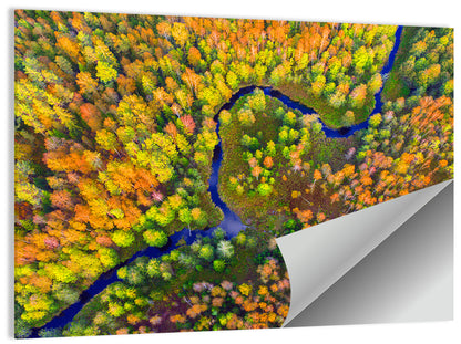 Winding Autumn River Wall Art