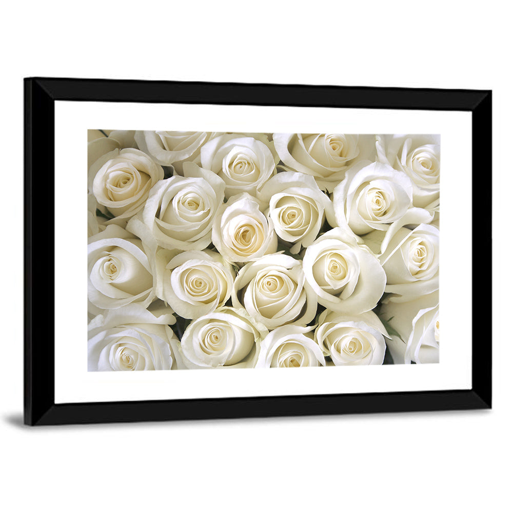 Silky Roses Wall Art